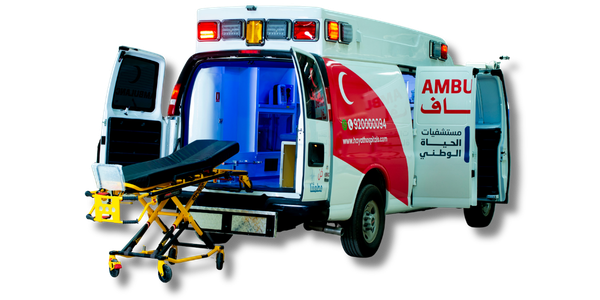 رائد إقليمي في الهندسة وتحويل المركبات.