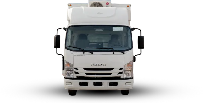 الأنظمة الكهربائية والإضاءة والخدمات